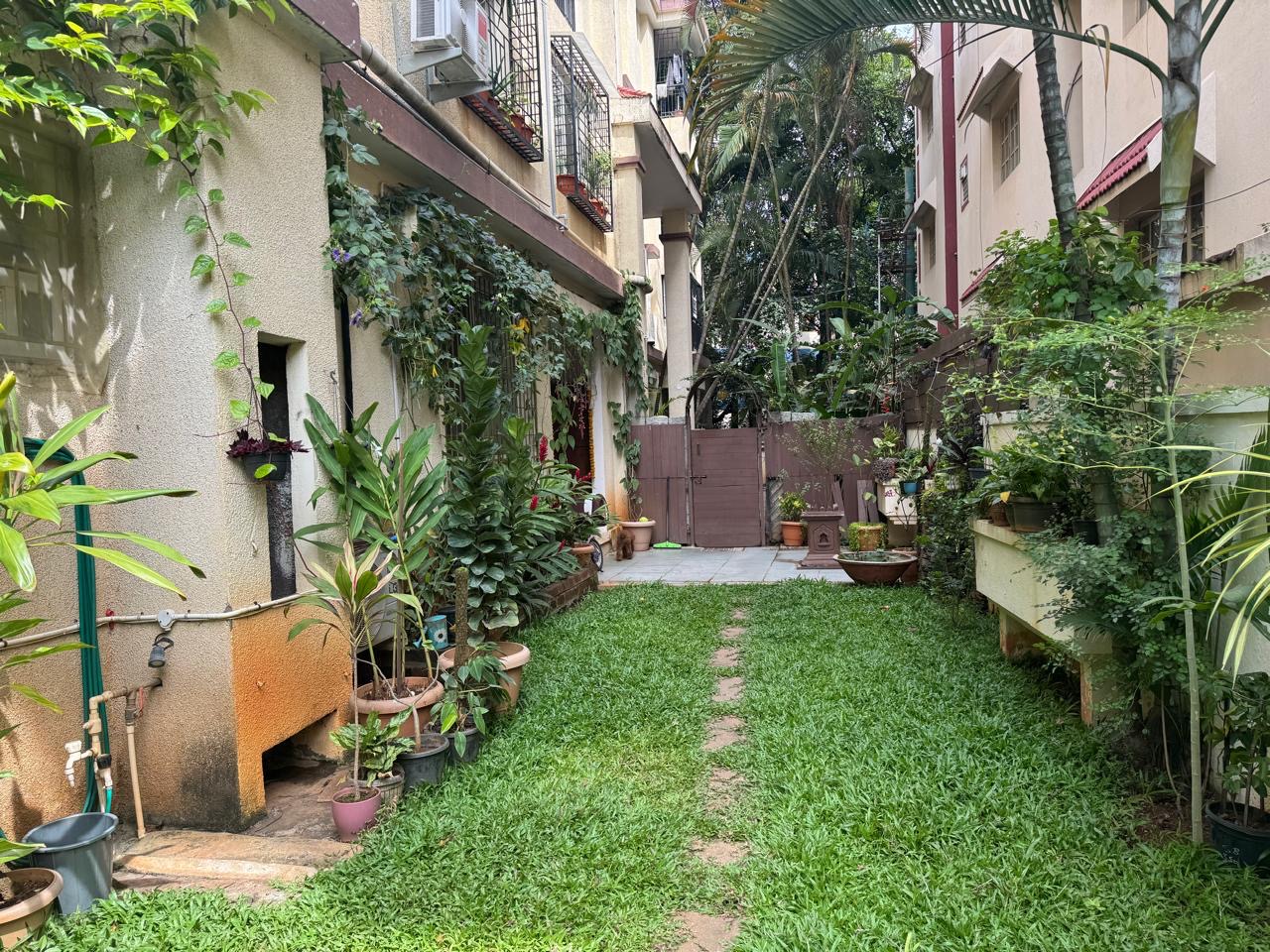 Side Lawn
